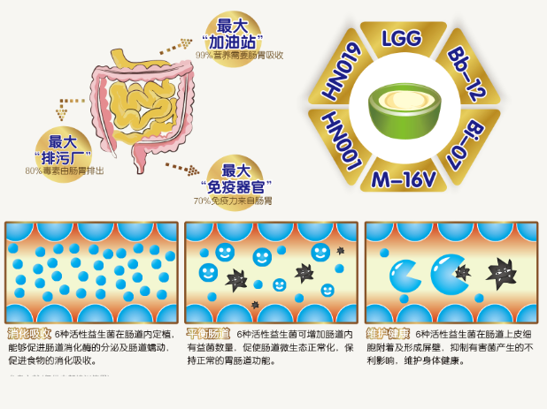 搭建寶寶免疫防護網，愛的營養大師助力寶寶防疫防疫!